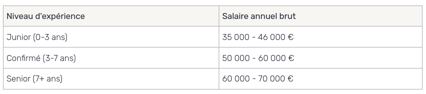 chef de projet IT