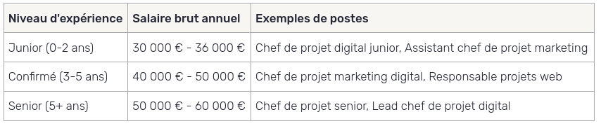 chef de projet marketing digital