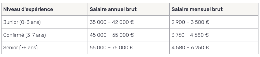 chef de projet SI