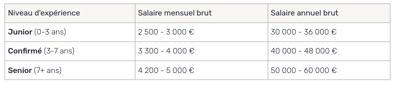 chef de projet technique